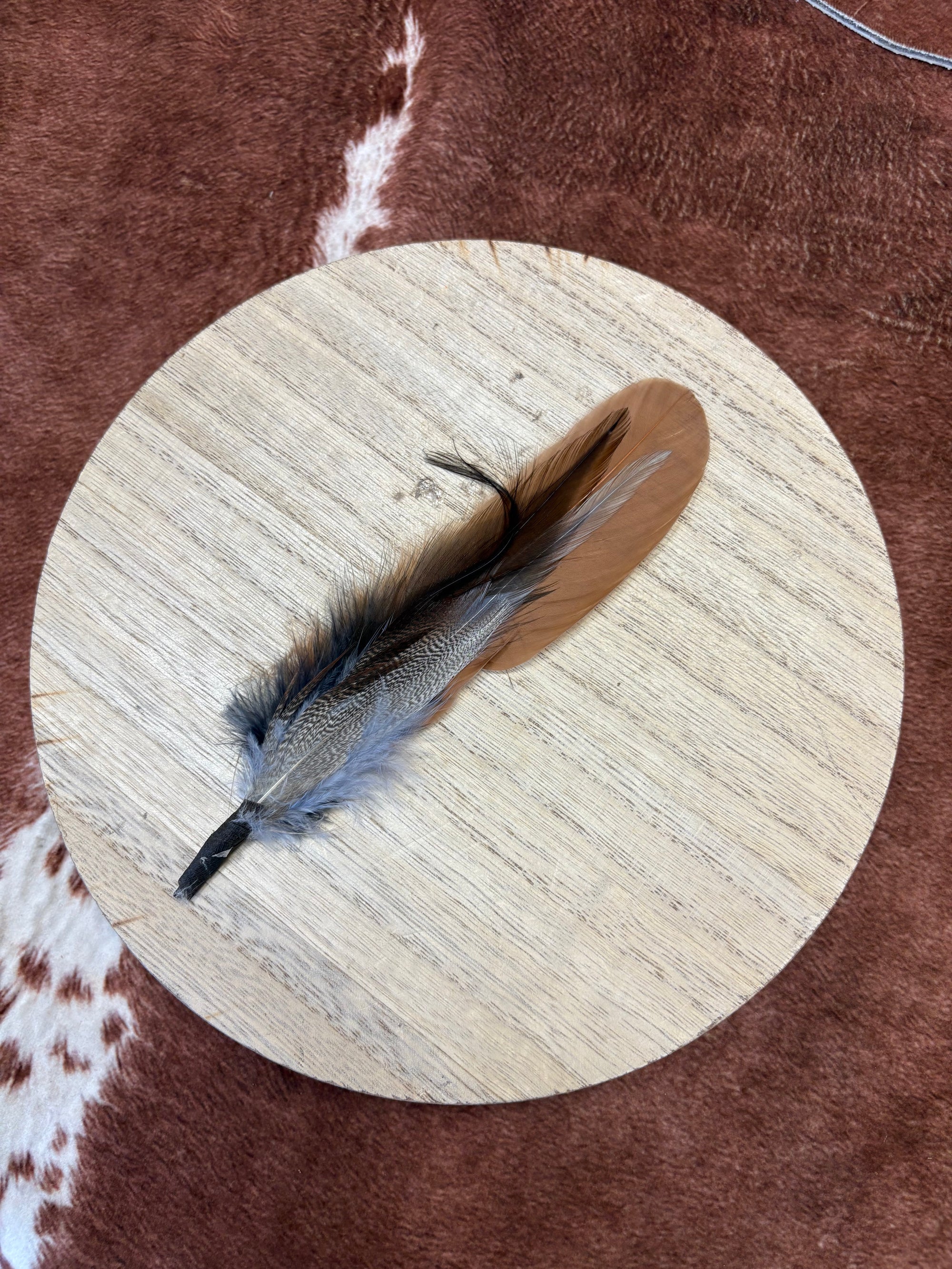 Burnt Orange with Neutrals Feather Bundle