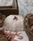 Bronze Horse Head Hat Pin