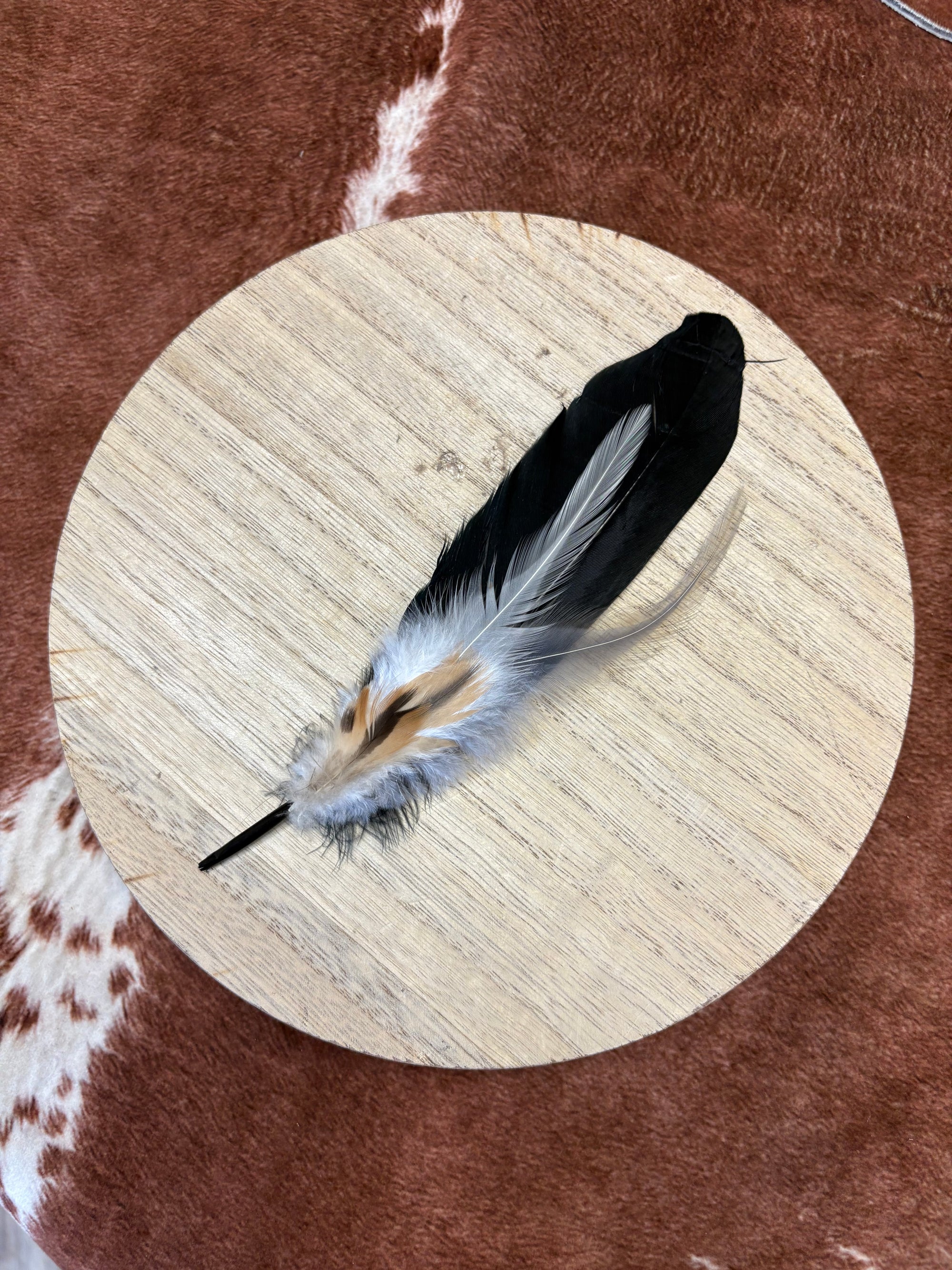 Black with White/Neutrals Feather Bundle
