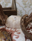 Small Horseshoe Hat Pin