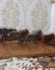 Multi Colored Feather Band