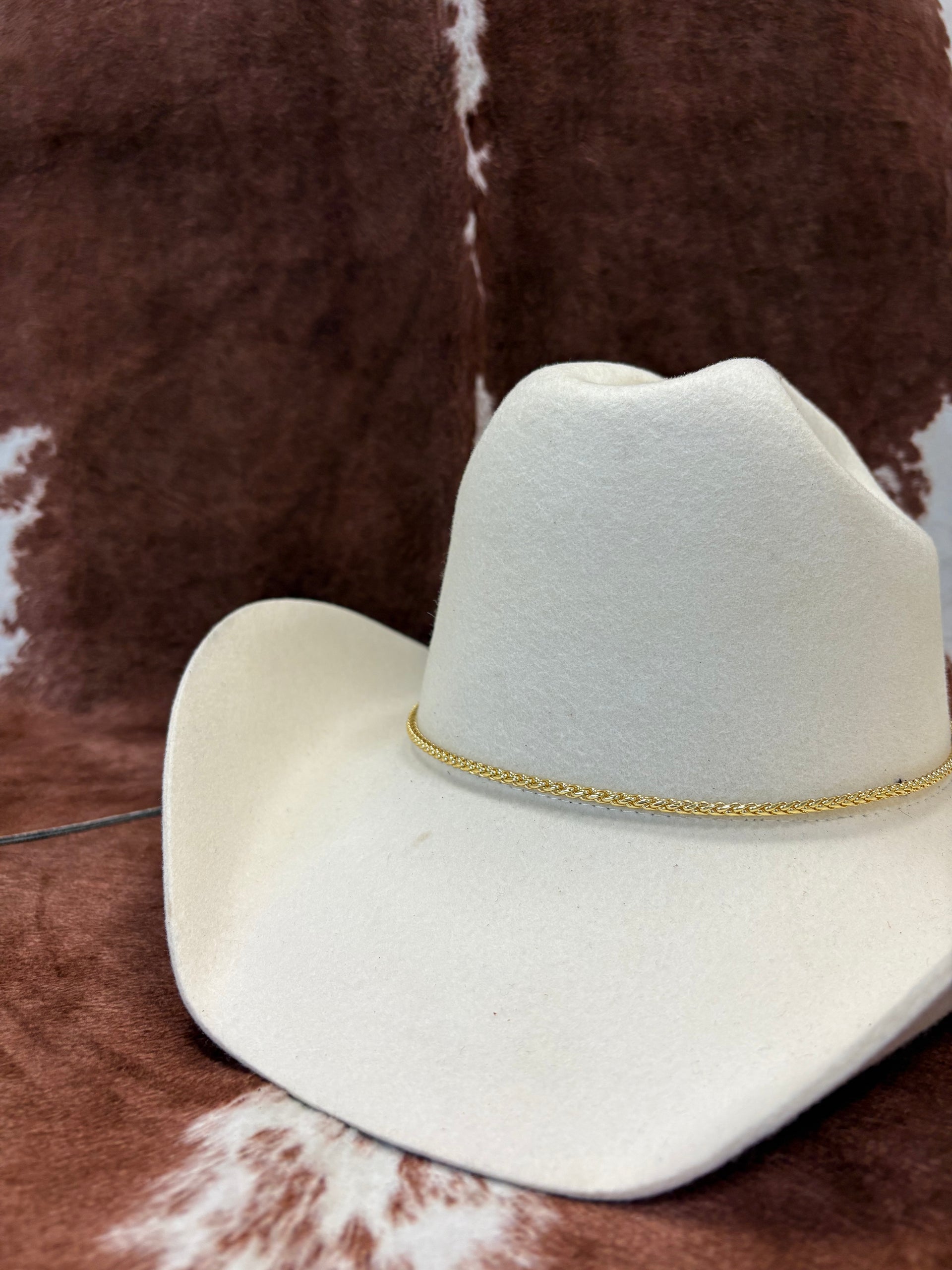 Thick Gold Hat Chain – Wild Knox display picture 2