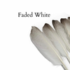 Essential Feather